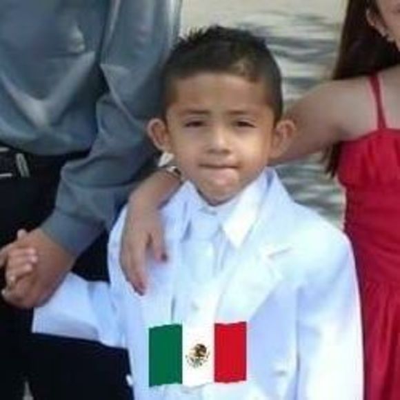 Meet your Posher, Oscar - Picture 1 of 1